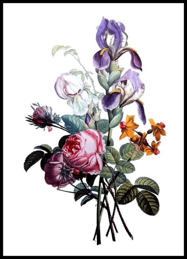 ALP F13034 Prevost Bougnets (Antique Prints)